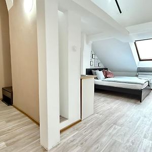 Zolderappartement met 1 Slaapkamer